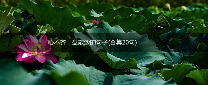 心不齐一盘散沙的句子(合集20句),第1张