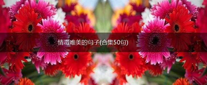 情毒唯美的句子(合集50句),第1张