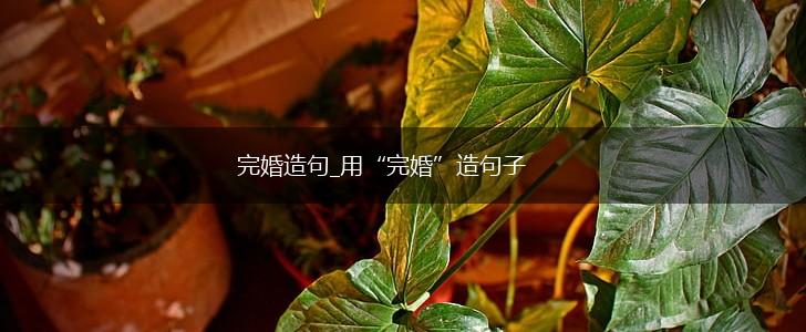 完婚造句_用“完婚”造句子,第1张