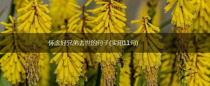 怀念好兄弟去世的句子(实用11句),第1张