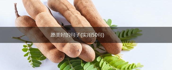 愿美好的句子(实用50句),第1张