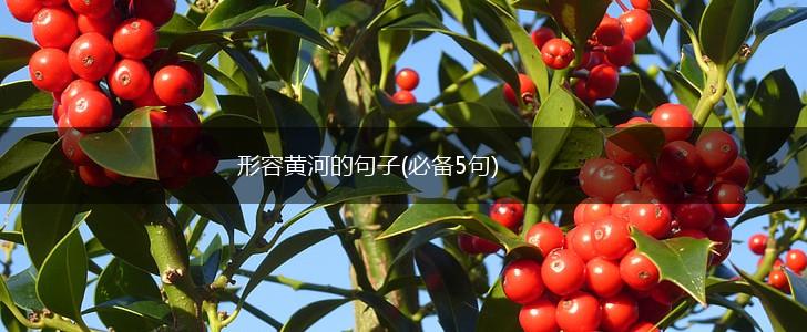 形容黄河的句子(必备5句),第1张