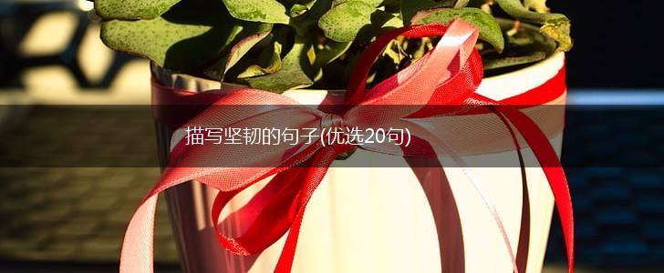 描写坚韧的句子(优选20句),第1张
