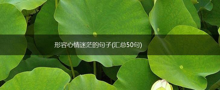 形容心情迷茫的句子(汇总50句),第1张