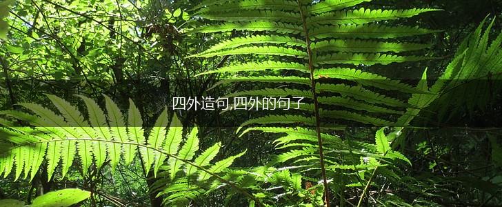 四外造句,四外的句子,第1张
