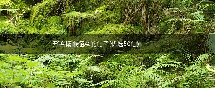 形容慵懒惬意的句子(优选50句),第1张