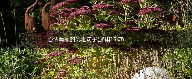 心情美丽的优雅句子(通用15句),第1张