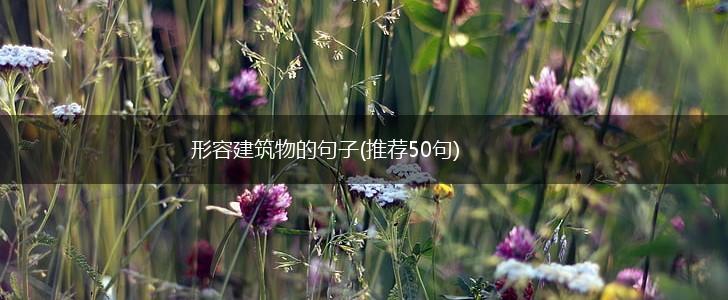 形容建筑物的句子(推荐50句),第1张