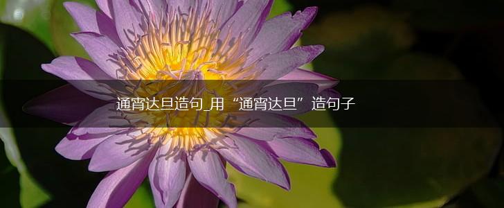 通宵达旦造句_用“通宵达旦”造句子,第1张