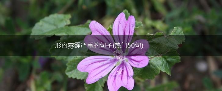 形容雾霾严重的句子(热门50句),第1张