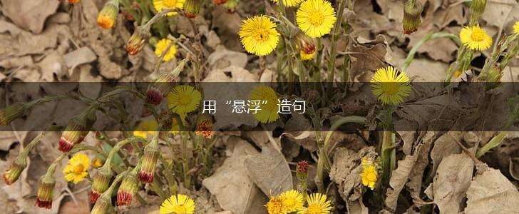 用“悬浮”造句,第1张