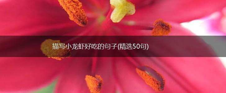 描写小龙虾好吃的句子(精选50句),第1张