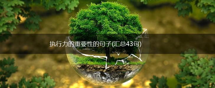 执行力的重要性的句子(汇总43句),第1张