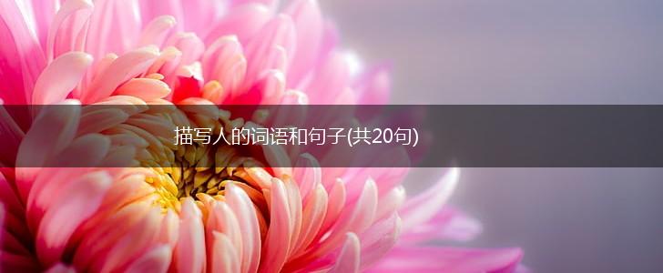 描写人的词语和句子(共20句),第1张