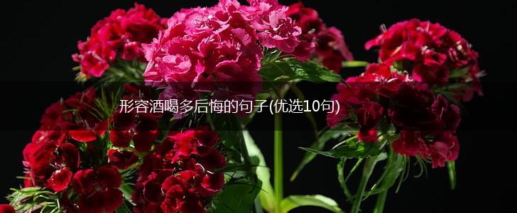 形容酒喝多后悔的句子(优选10句),第1张
