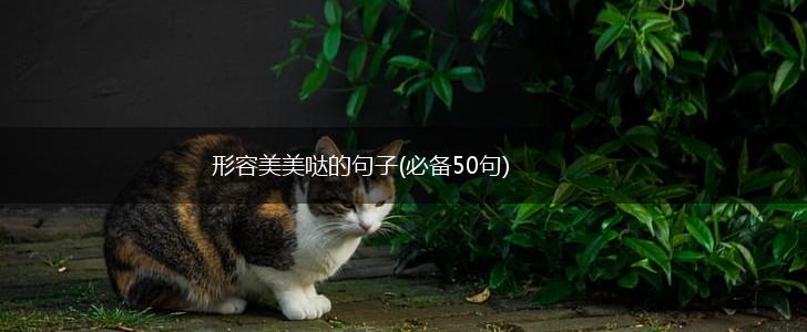 形容美美哒的句子(必备50句),第1张