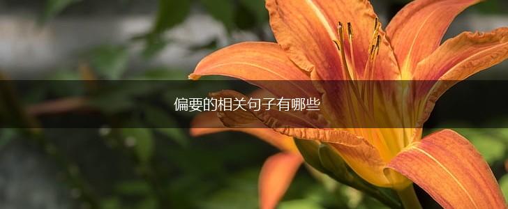 偏要的相关句子有哪些,第1张