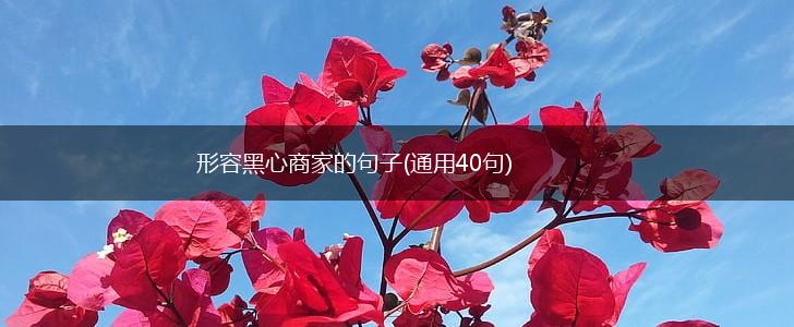 形容黑心商家的句子(通用40句),第1张