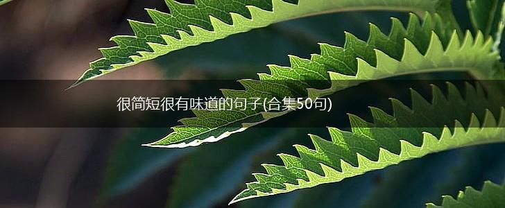 很简短很有味道的句子(合集50句),第1张