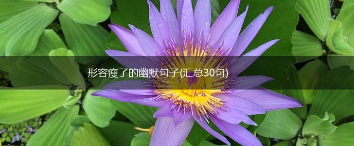 形容瘦了的幽默句子(汇总30句),第1张