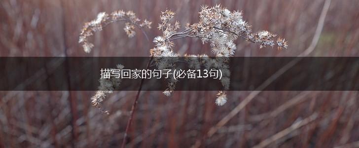 描写回家的句子(必备13句),第1张