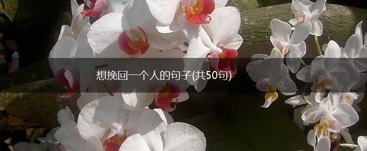 想挽回一个人的句子(共50句),第1张