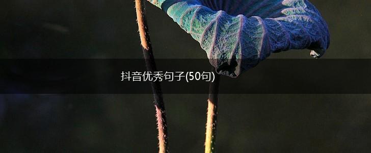 抖音优秀句子(50句),第1张