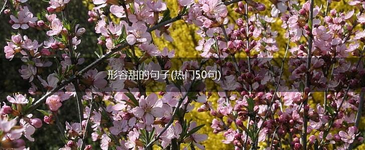 形容甜的句子(热门50句),第1张