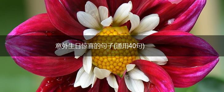 意外生日惊喜的句子(通用40句),第1张