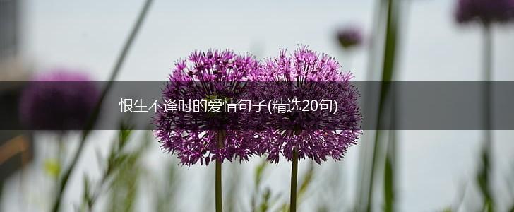 恨生不逢时的爱情句子(精选20句),第1张