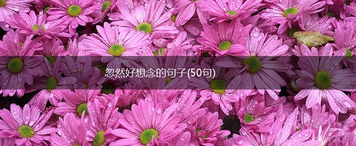 忽然好想念的句子(50句),第1张