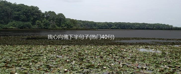 我心向佛下半句子(热门40句),第1张