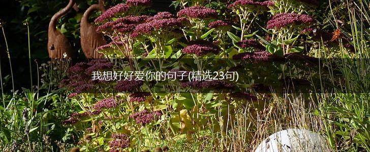 我想好好爱你的句子(精选23句),第1张