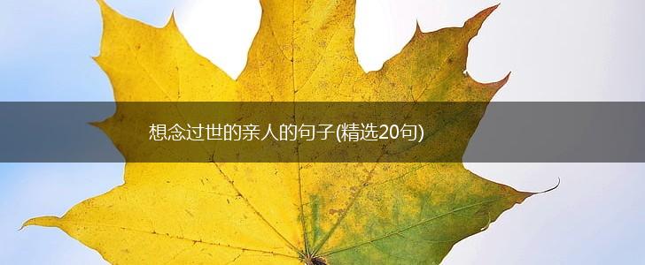 想念过世的亲人的句子(精选20句),第1张