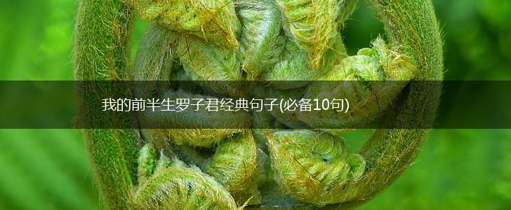 我的前半生罗子君经典句子(必备10句),第1张