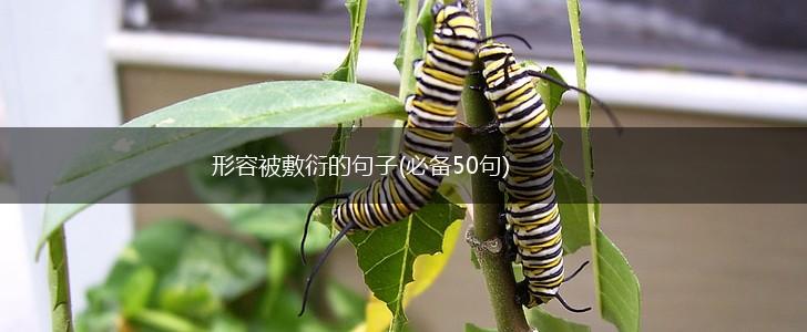形容被敷衍的句子(必备50句),第1张