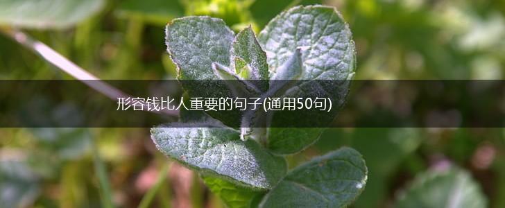 形容钱比人重要的句子(通用50句),第1张