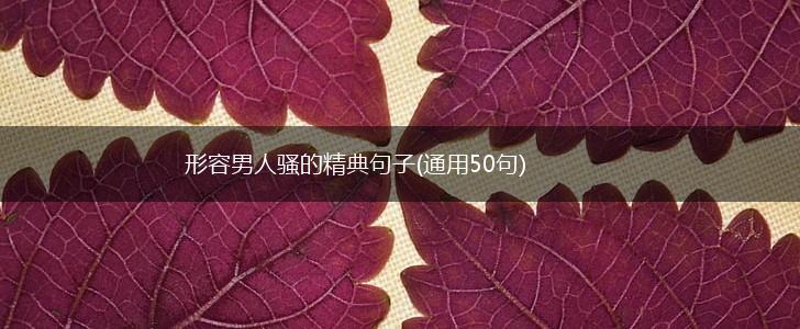 形容男人骚的精典句子(通用50句),第1张