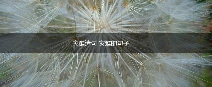 灾难造句 灾难的句子,第1张
