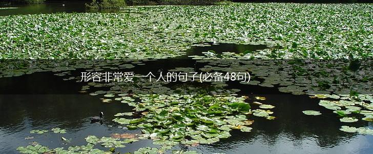 形容非常爱一个人的句子(必备48句),第1张