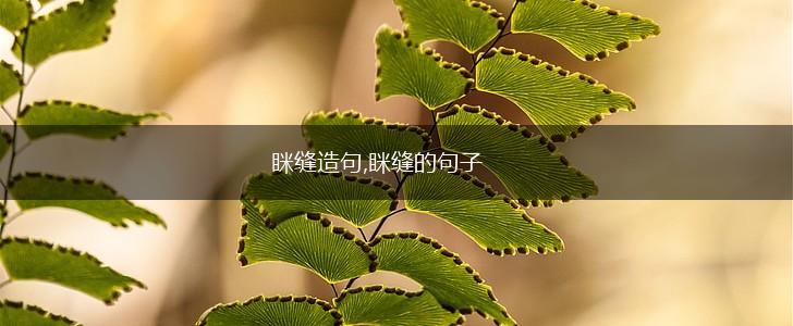 眯缝造句,眯缝的句子,第1张