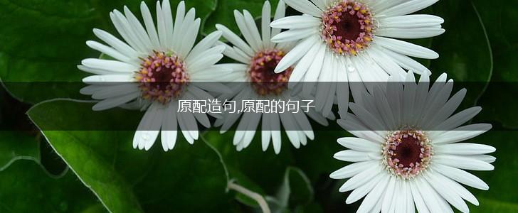 原配造句,原配的句子,第1张