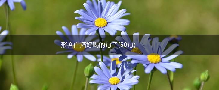 形容白酒好喝的句子(50句),第1张