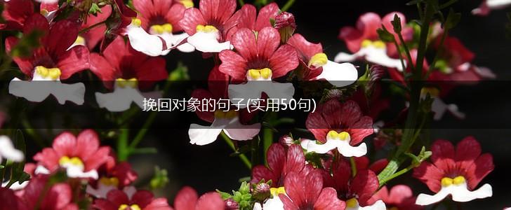 挽回对象的句子(实用50句),第1张