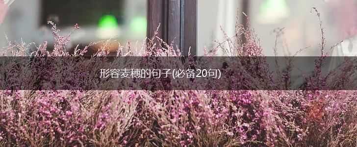 形容麦穗的句子(必备20句),第1张