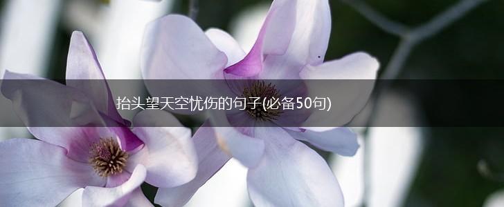 抬头望天空忧伤的句子(必备50句),第1张