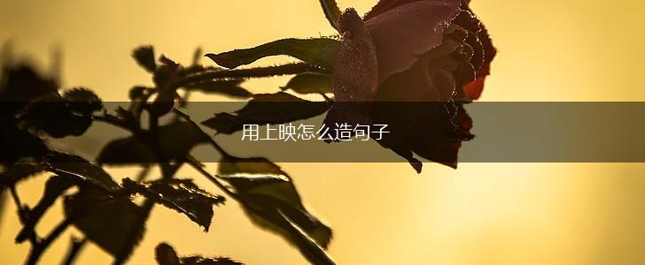 用上映怎么造句子,第1张