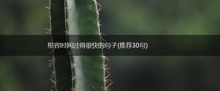 形容时间过得很快的句子(推荐30句),第1张