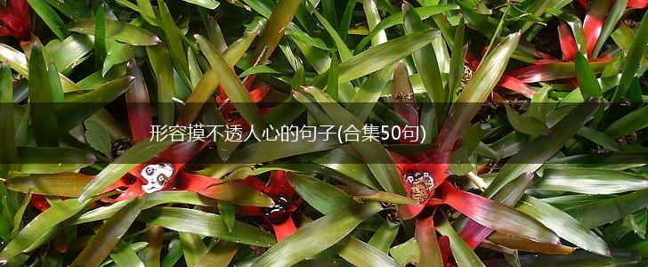 形容摸不透人心的句子(合集50句),第1张