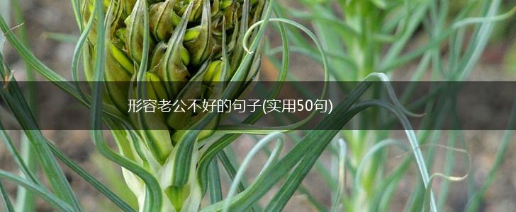 形容老公不好的句子(实用50句),第1张